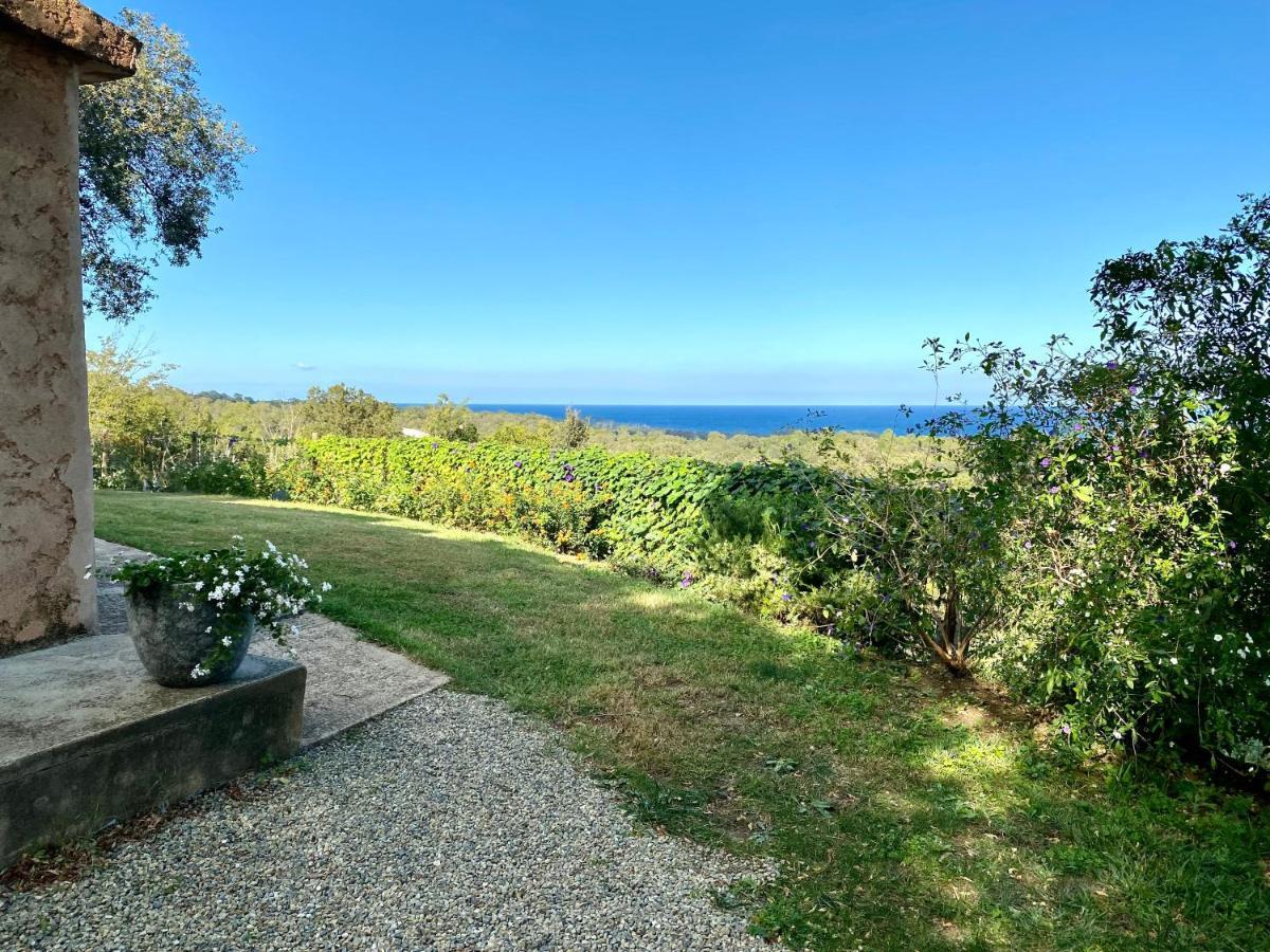 Villa panorama maquis et mer, plage à 1,5 Km Cervione Extérieur photo
