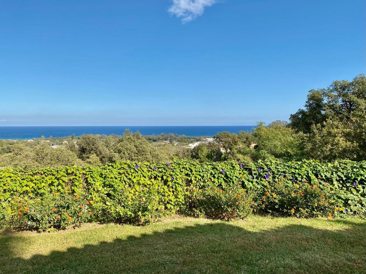 Villa panorama maquis et mer, plage à 1,5 Km Cervione Extérieur photo