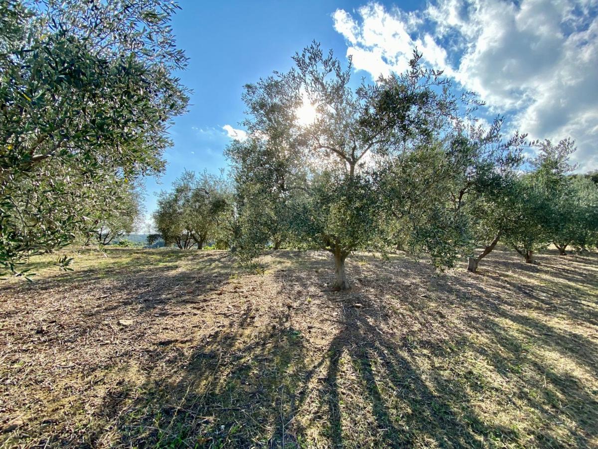 Villa panorama maquis et mer, plage à 1,5 Km Cervione Extérieur photo